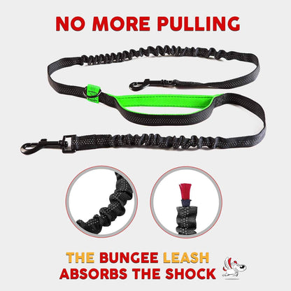 Exquisite Hands-Free Leash for Two Medium Dogs – Perfect for Active Pet Owners – Comfortable, Durable & Ideal for Running, Walking, Hiking – Premium Dual Waist Lead with Bungee – Must-Have Dog Gear
