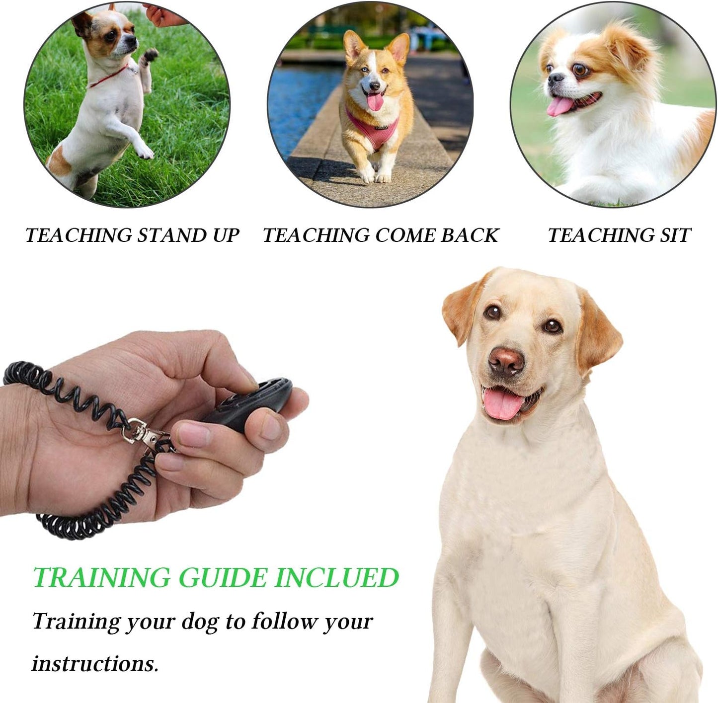 Comprehensive 4-in-1 Dog Training Set: Includes Training Treat Pouch, Whistle, Doorbells, and Clicker – Perfect Gift for New Pet Owners (Black)