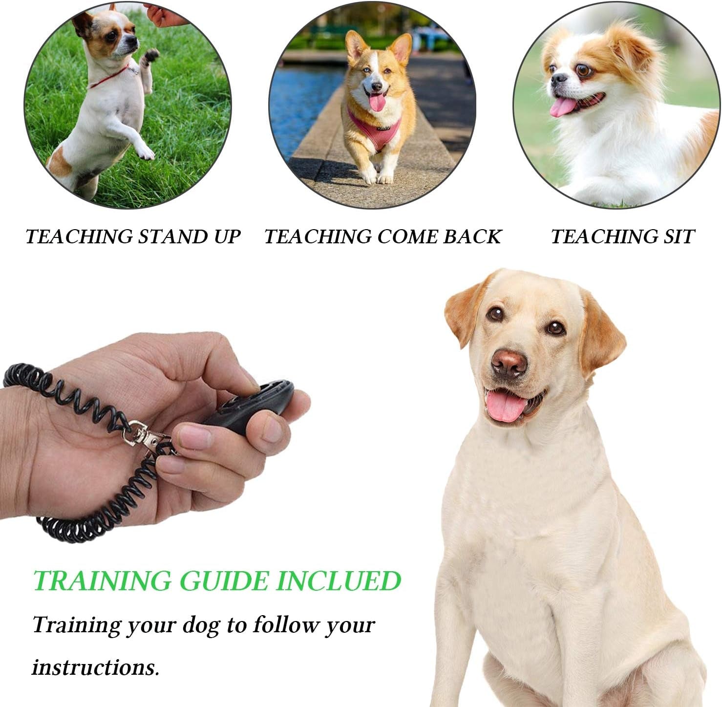 Comprehensive 4-in-1 Dog Training Set: Includes Training Treat Pouch, Whistle, Doorbells, and Clicker – Perfect Gift for New Pet Owners (Black)